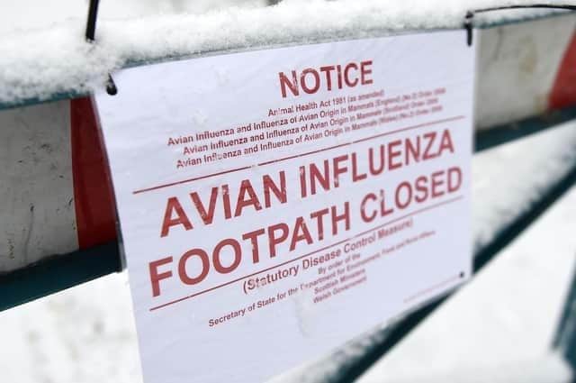 DAERA has introduced disease control measures following initial confirmation of Highly Pathogenic Avian Influenza (HPAI) H5N1 in samples collected from captive birds at Castle Espie, Wildfowl and Wetlands Trust (WWT), Strangford Lough.