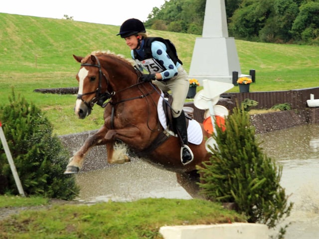 Clare Steele and Marl Gladiator finished in the rosettes in Tullymurry's EI80 class. (Pic: Anne Hughes)