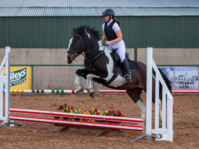Callie Patterson on Indie in Class 1 at Lusk's. (Pic: Martin O'Neill Photography)