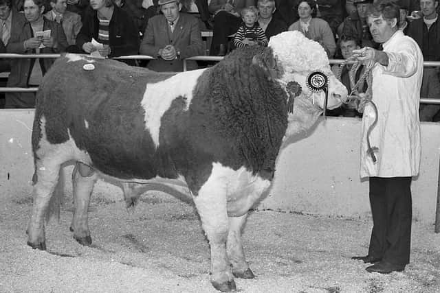 Mr William Robson, Kilrbide, Doagh, Co Antrim, pictured in October 1982 with his Simmental bull, which was the supreme inter-breed champion at the Automart show and sale in Portadown. Picture: Farming Life/News Letter archives