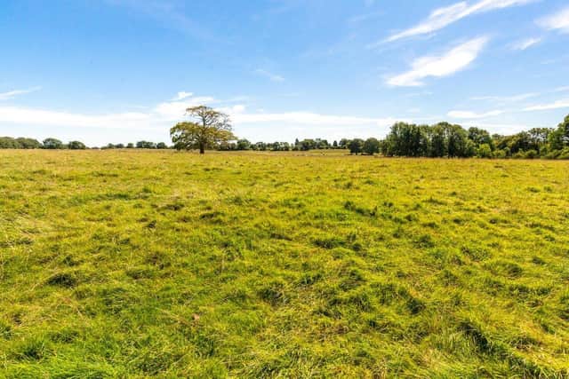 The land at Cregg Estate lies within a single block and comprises grassland plus mature woods, extending to about 175 acres in total.