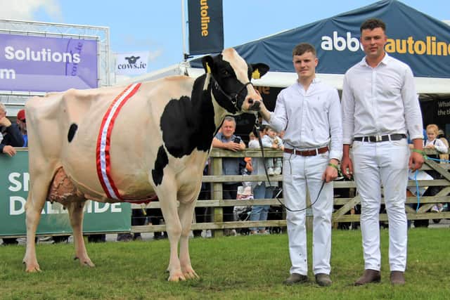 Mark Henry and Josh Ebron exhibited the reserve Holstein champion Lumville M Danoise owned by Clive and Joel Richardson, Annaghmore. Picture: Julie Hazelton