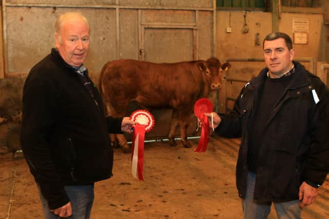 First place in the bullock class at the Hilltown mart's spring show and sale on Saturday 22nd April went to Thomas McEvoy pictured with judge Colin Reid. The sale saw fat cows sell to £2200, heifers to £2000 and bullocks to £2200