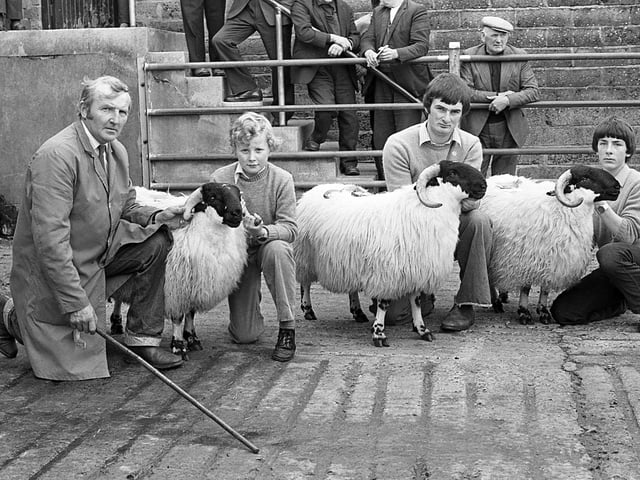Pictured in October 1981 is James Armstrong from Broughshane with his prize-winning group of Blackface rams, helped by Gordon Crawford and his sons Alister and Brian. They are pictured at a show and sale of pedigree Blackface ram lambs at Ballymena. Picture: Farming Life archives/Darryl Armitage