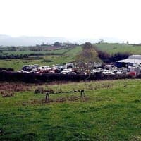 Dairy cows selling to a top of £3480 at Rathfriland Co-op