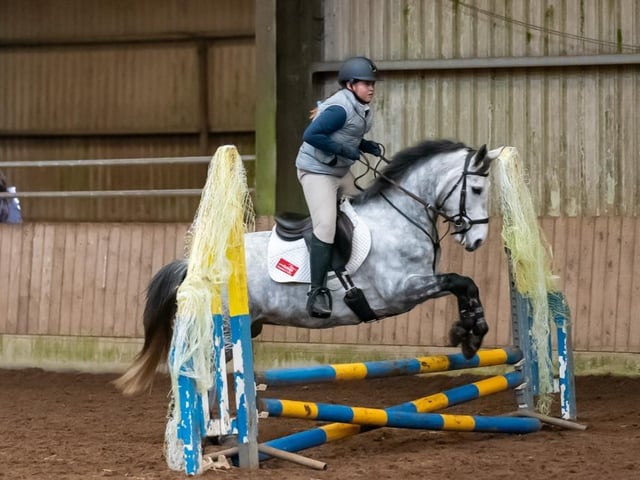 Bubble and Sienna Doherty win the blue ribbon for the 55cm. (Pic: Equi-Tog)