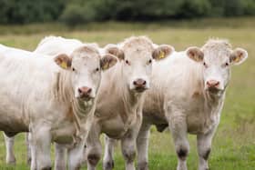 UFU is urging members to attend a bTB webinar