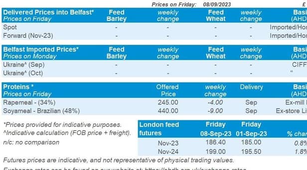 NI weekly market report - 11 September 2023. Picture: ADHB