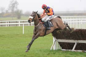 The David Christie trained Winged Leader recorded his third victory in the Portrush feature last weekend. (Pic supplied)