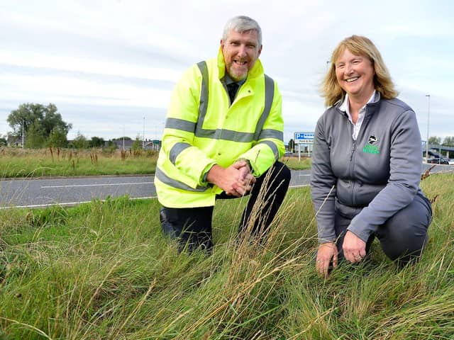 Infrastructure Minister John O’Dowd is pictured with Jennifer Fulton CEO of Ulster Wildlife as he announces a new approach to verge management across the road network