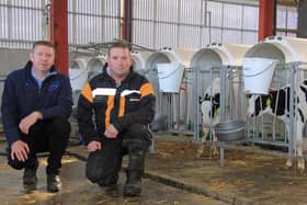 Robert Cubitt discusses the benefits of the CalfOTel Comfort Hutches with Stephen Morrison, Toberanne Holstein Herd, Armoy. Picture: Julie Hazelton