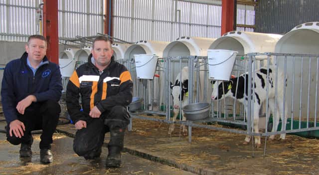 Robert Cubitt discusses the benefits of the CalfOTel Comfort Hutches with Stephen Morrison, Toberanne Holstein Herd, Armoy. Picture: Julie Hazelton