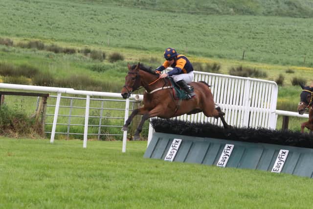 Golden Temple ( Sam Ewing ) trained by Noel Meade wins the Frank and Brian Fitzsimmons Memorial Hurdle. (Pic: Freelance)