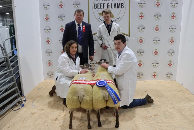 The Reserve Best Butcher Pair at the 2022 Royal Ulster Premier Beef & Lamb Championships was awarded to S&J Smyth from Newtownstewart, Co. Tyrone.  Pictured (L-R) On the night with the two reserve Suffolk lambs were Courtney Dodds, Andrew Burleigh (Judge), Jack Smyth and Adam Donald.