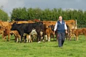 CattleZen mimics naturally-occurring pheromones that are secreted by the skin of the mammary gland of lactating animals.