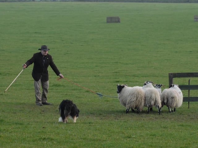 We were wondering if any of our readers might be able to identify those in the photographs.
