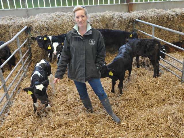 Will and Alex Prichard are feeding enriched pasteurised transition milk to calves in their first 10 days of life