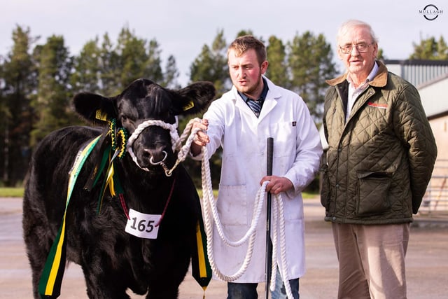 First prize intermediate bull calf was the Doyle family’s Drumhill Exchange Rate Z194 exhibited by Callum Innes. Included is sponsor Con McGuckian, Rasharkin. Picture: David Porter, Mullagh Photography