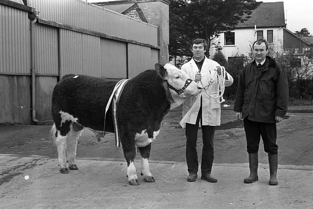 John McMordie (holding the halter) with the supreme champion; Solitude Brigadier which was owned by F W McMordie and Sons, Ballygowan, at the Simmental Cattle Breeders' Club show and sale at Automart, Portadown, at the start of April 1992. Picture: Farming Life archives/Darryl Armitage