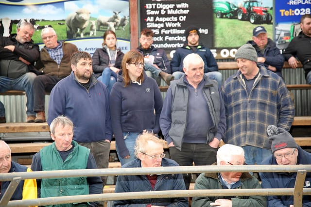 Buyers around the salering at Holstein NI’s bull sale, held at Kilrea Mart. Picture: John McIlrath