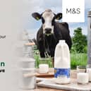 M&S has announced a £1 million investment in a change to the diet of the pasture-grazed cows in its milk pool to reduce the amount of methane produced in a cow’s stomach and released into the atmosphere