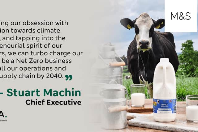 M&S has announced a £1 million investment in a change to the diet of the pasture-grazed cows in its milk pool to reduce the amount of methane produced in a cow’s stomach and released into the atmosphere