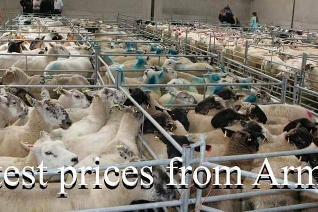 Armoy mart