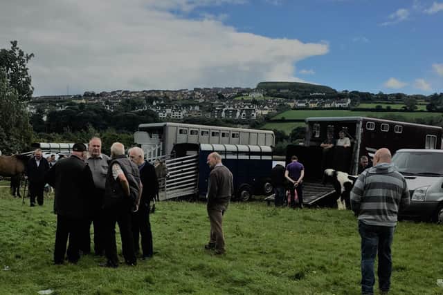 Three years after the last horse fair took place in Derry but now the fair is set to return
