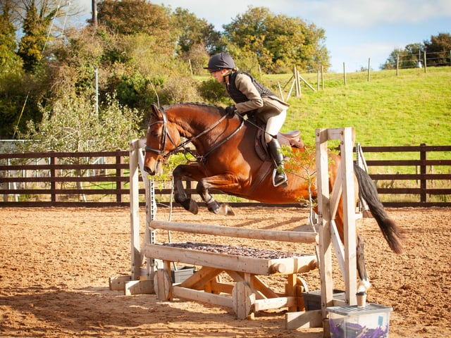 Champion Horse - Emily Turley - Tullymurray Valentino