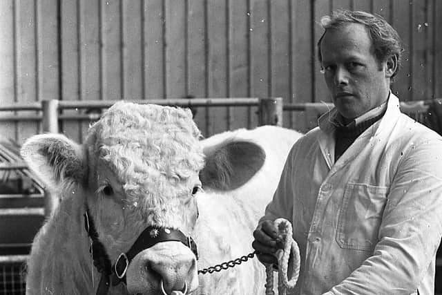 Robert Simpson of Lambeg with the Charolais champion at a multi-breed show and sale which was held at the Automart, Portadown, at the end of January 1983  Picture: Farming Life/News Letter archives
