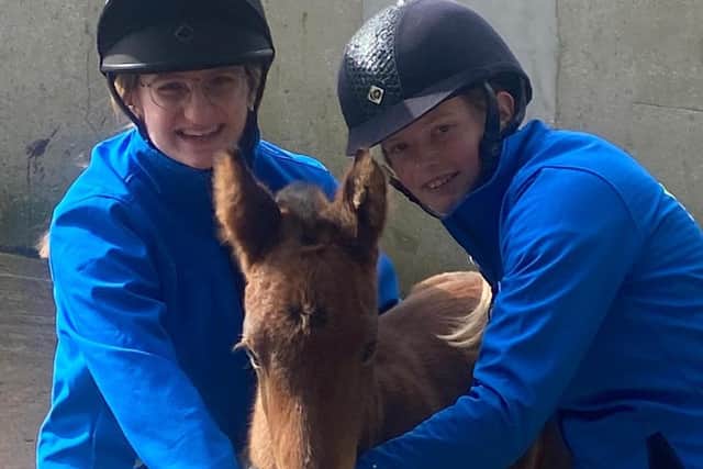 BSc Hons Equine Management second year students Amy Rowlands and Chantelle Tanner work with new foal ‘Albie’ in the CAFRE Enniskillen Campus Breeding Unit.