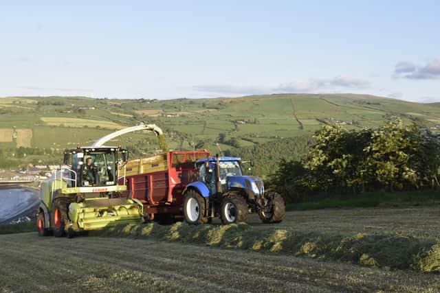 It has been a very busy week for Patton Contracts who have been out in the fields on the Glenarm Estate in Co Antrim chopping grass. Picture: William Logan