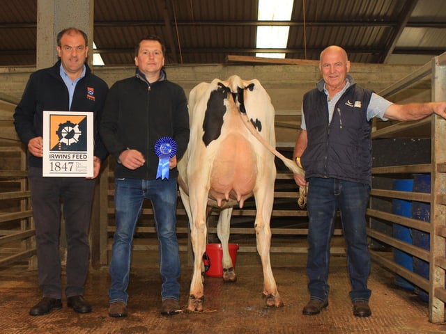 Ian Cummins, sponsor, and judge Ian Agnew, congratulate James Cleland who exhibited the honourable mention winner Inch Pepper Karine. Picture: Julie Hazelton