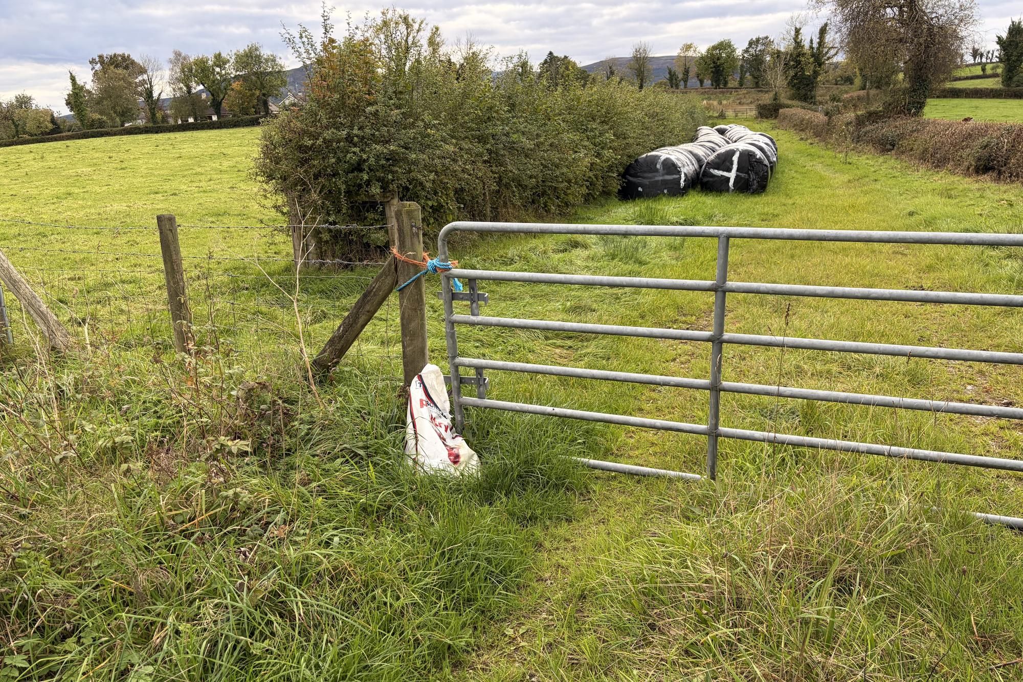 Armstrong condemns department inaction as dumped bird carcass remains ...