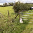 The bird carcass was dumped in early September