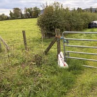 Armstrong condemns department inaction as dumped bird carcass remains on Erne West Road for over six weeks