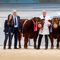 Haltcliffe Archer steals the spotlight at 45,000gns at Carlisle October sale