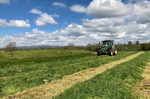 With the weather forecast improving across Northern Ireland, the Ulster Farmers’ Union is urging farmers to be cautious when catching up on farm work that has been significantly delayed with the recent rainfall.