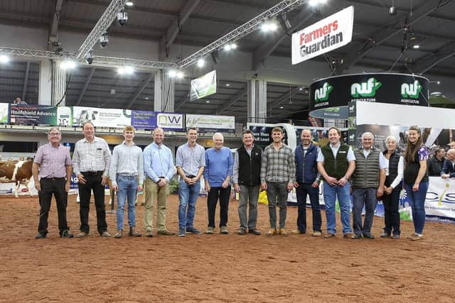 All of the regional winners. (Pic supplied by Holstein UK)