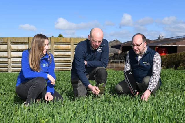CAFRE dairying advisers Elizabeth Calvin and David Mackey with Garvagh dairy farmer Mark Patterson examine his crop of rye and vetch.