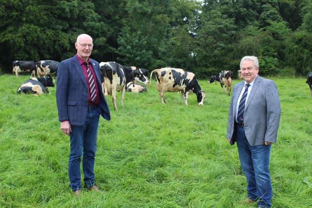 Diageo Baileys’ Irish Champion Cow competition co-ordinator, Patrick Gaynor (left) discussing plans for 23rd August 2023 with the event judge, Mark Logan, from Clandeboye Estate. Picture: Richard Halleron