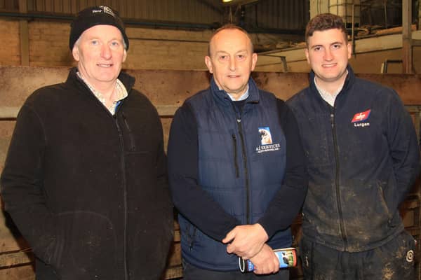 Dungannon Dairy Sale vendors Noel and Desmond McCorry, Aghalee, with Ivan Minford, AI Services (NI) Ltd, sponsor. Picture: Julie Hazelton