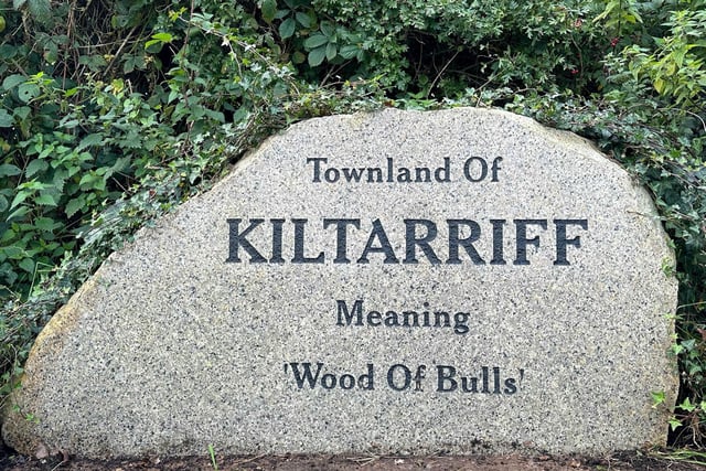 Located in the townland of Kiltariff, meaning ‘Wood of Bulls’, the herd comprises 11 cows plus followers.