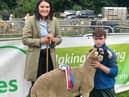 Tiernan's sheep won champion at both Ballymena and Antrim shows this year. (Pic supplied by Joanne McSwiggan)