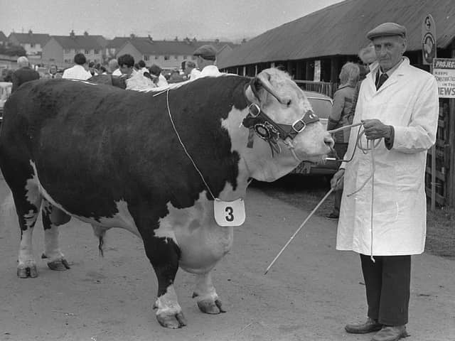 Pictured in June 1980 is James Faith from Eglington, Co Londonderry, with his Hereford champion bull, which also won the News Letter Cup, at the Ballymena Show. Picture: Farming Life/News Letter archives/Darryl Armitage