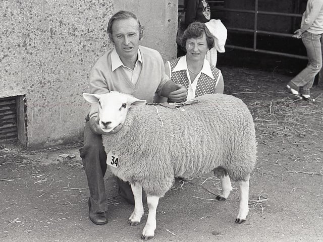 This collection of old photos is from 1981.