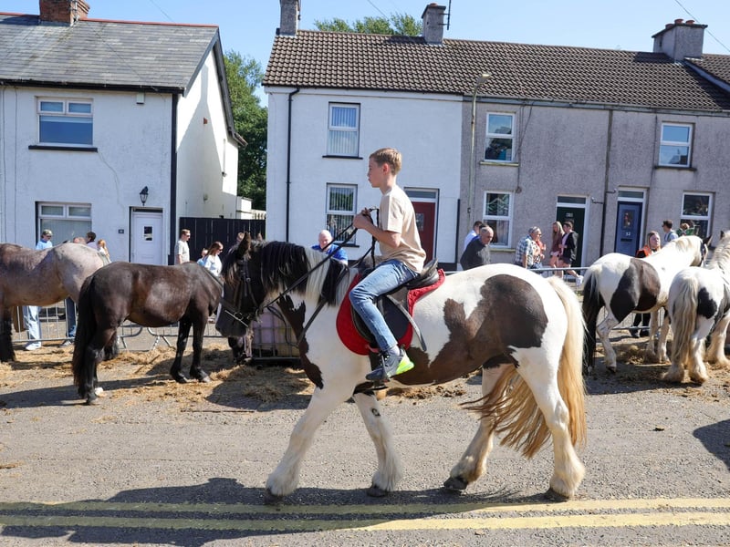 Annual Ould Lammas Fair is held in Ballycastle, Co. Antrim.