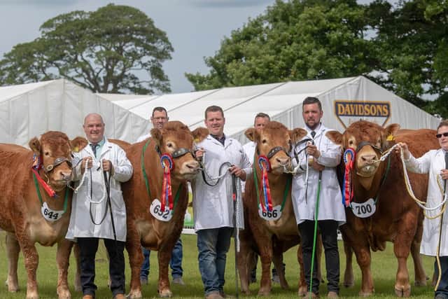 The interbreed champion team of four