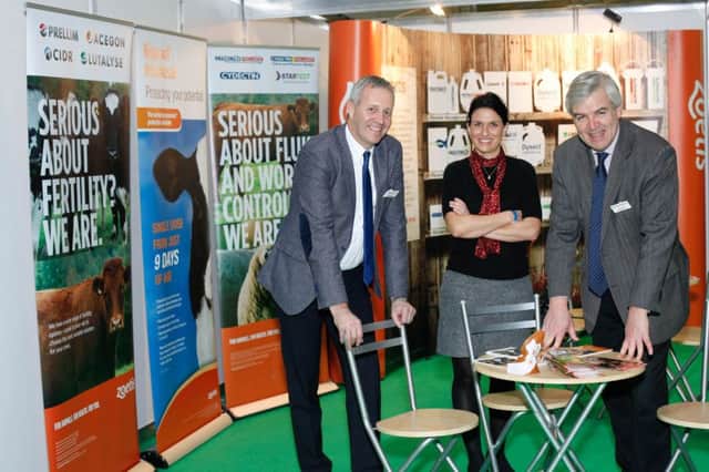 ll set for a busy time on the Zoetis stand at the Winter Fair are Raymond Irvine; Aurelie Moralis and Patrick MacFarlane. Photograph: Columba O'Hare.