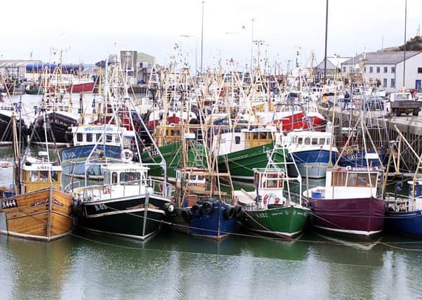 The fleet at Kilkeel will benefit from the increased quotas